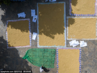 Autumn harvest drying in Miao village in Guizhou