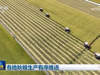 各地秋粮生产有序推进